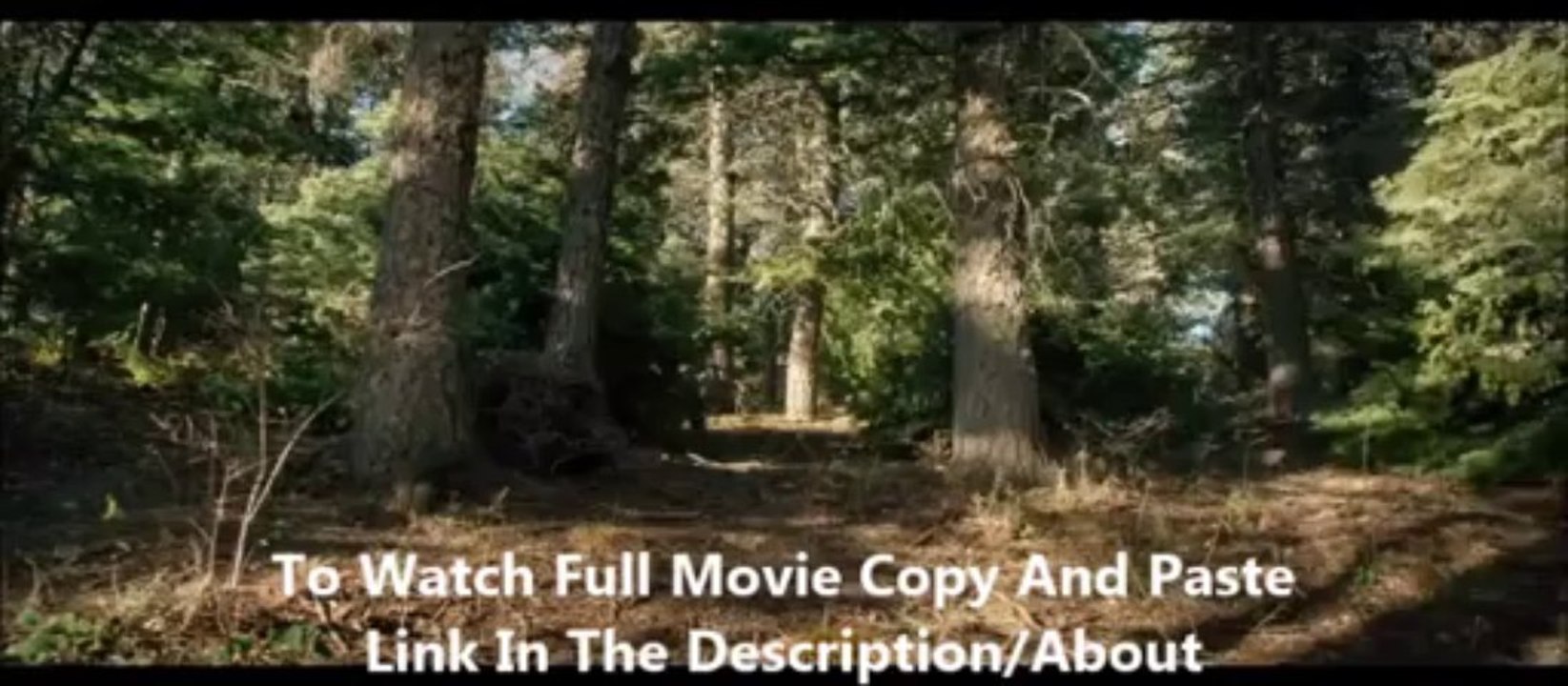 Lone Survivor