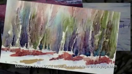 Voeux Alain MARC 2014