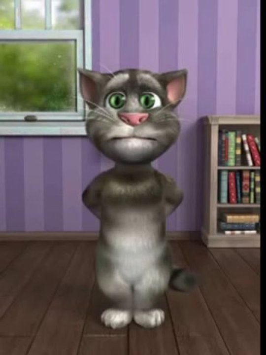 İmana getiren kedicik TOM Gülmek Garanti