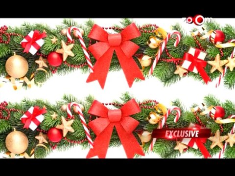 Celina Jaitly celebrates Christmas with zoOm