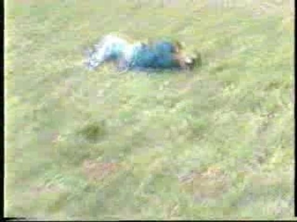 chute en tyrolienne (poulie) 3iem essai