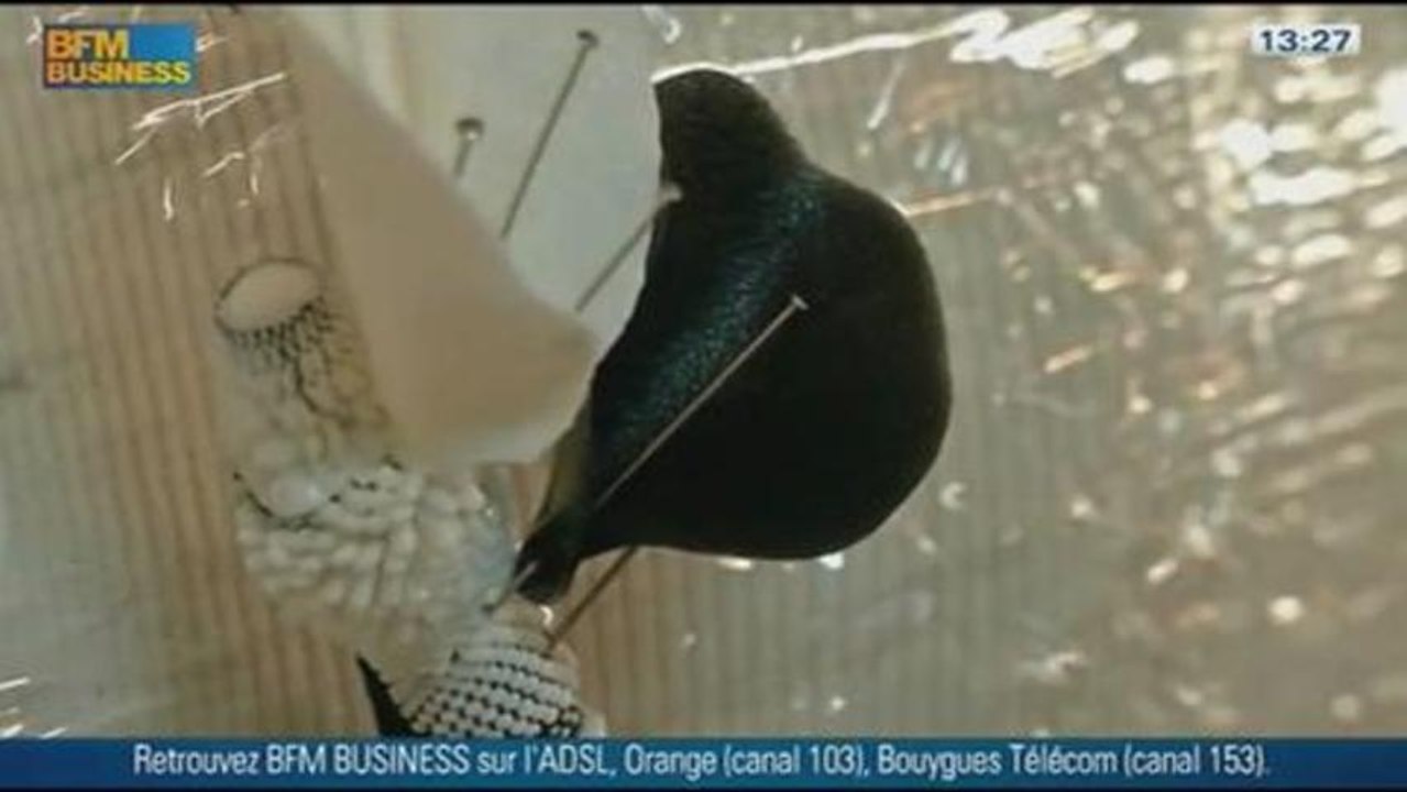 L'Insolite du jour: La dentelle siliconée, dans Paris est à vous - 26/12