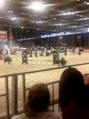 Salo du cheval 2013 Java d'épona