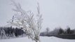 Icy storms cut power to North American homes