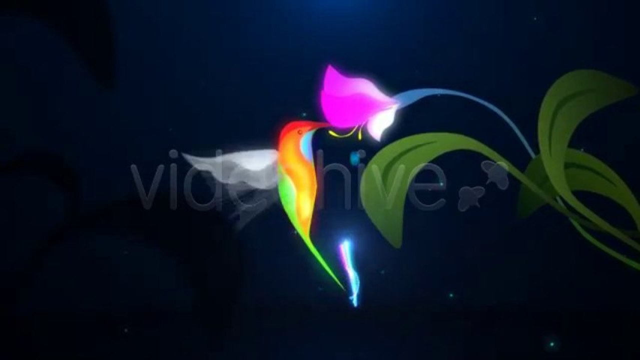 Colibri Logo - After Effects Template