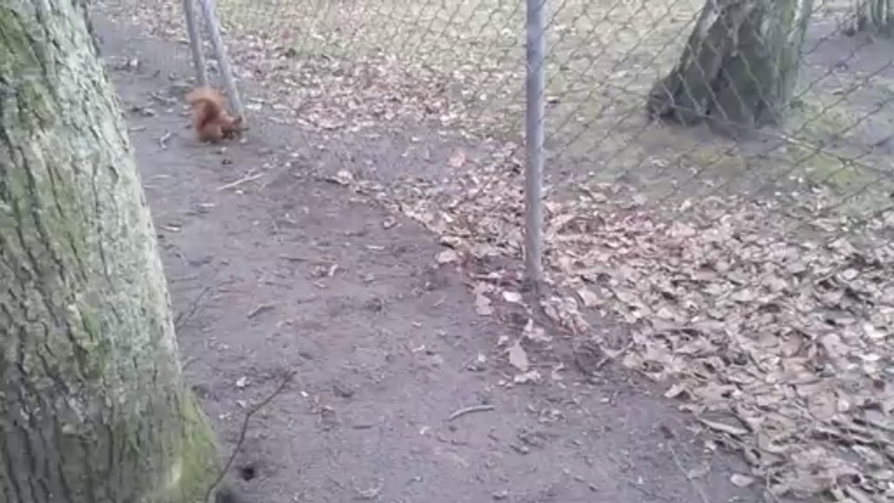 20131226_111900