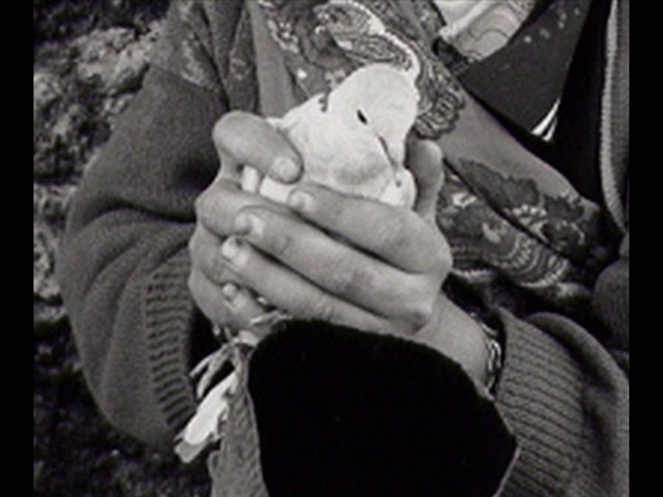 PRÉVERT, Jacques - Chanson de l'oiseleur.