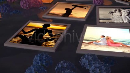 Photo Gallery on a Magical Summer Night - After Effects Template