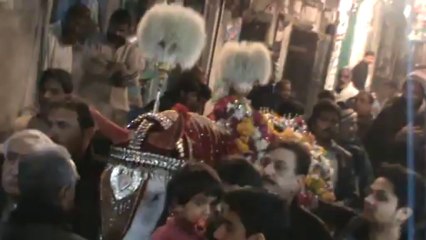 Zuljinah from Imambargah Shamsiyan Dehli Gate Lahore on 23-December-2013 (19 Safar 1435 AH)