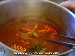 3-Comment préparer ses homards - 3ème partie - la bisque