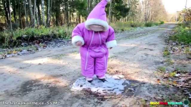 The 50 Best Viral Videos Of 2013