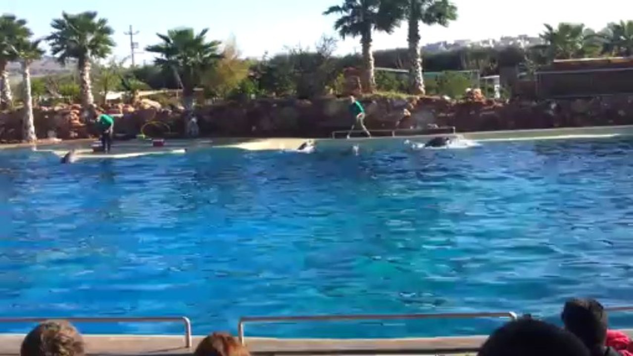 20131222_112155