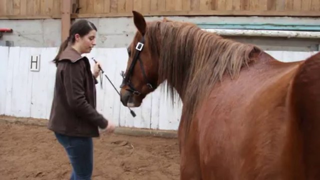 Listo seance de desensibilisation