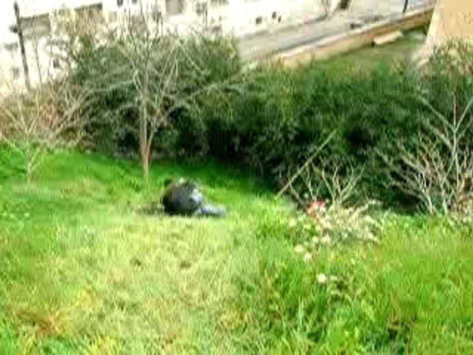 DSCN0268