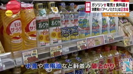 20131226「アベノミクス」１年、生みの親が辛口採点
