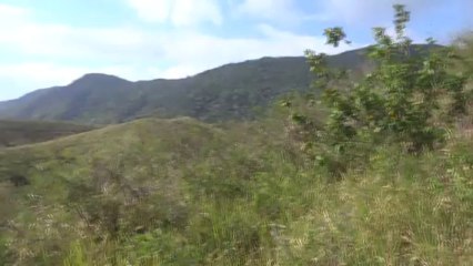 Nouvelle Caledonie- Voyage sur la Grande Terre