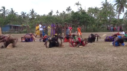 Nouvelle Caledonie: Dance issue des cultures Kanak (4/7)