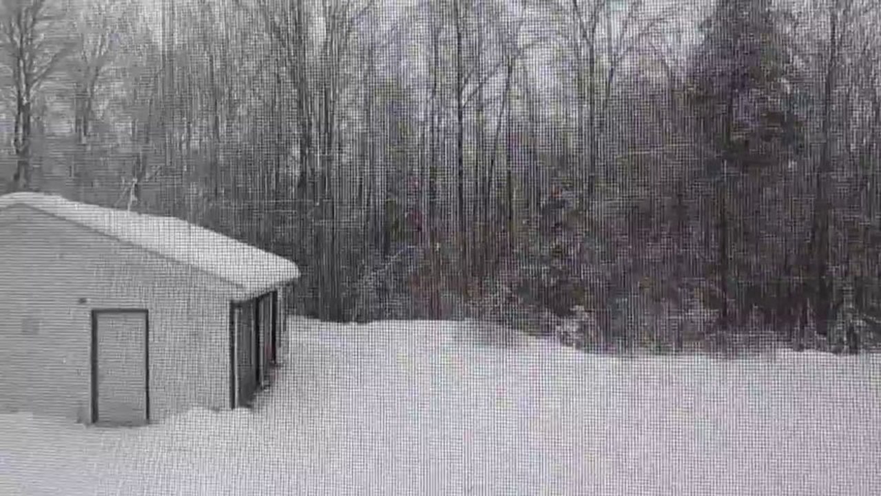 White and Gray