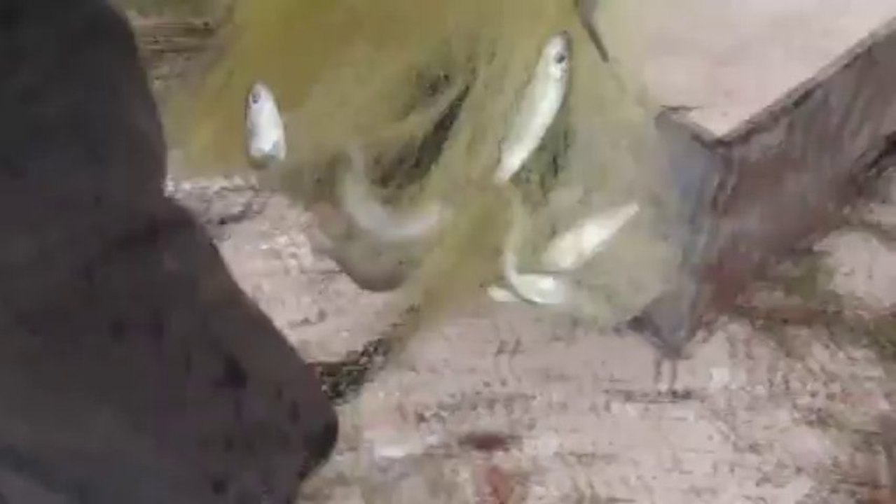 Nouvelle Caledonie: Peche artisanale sur l'Ile des Pins (2/2)