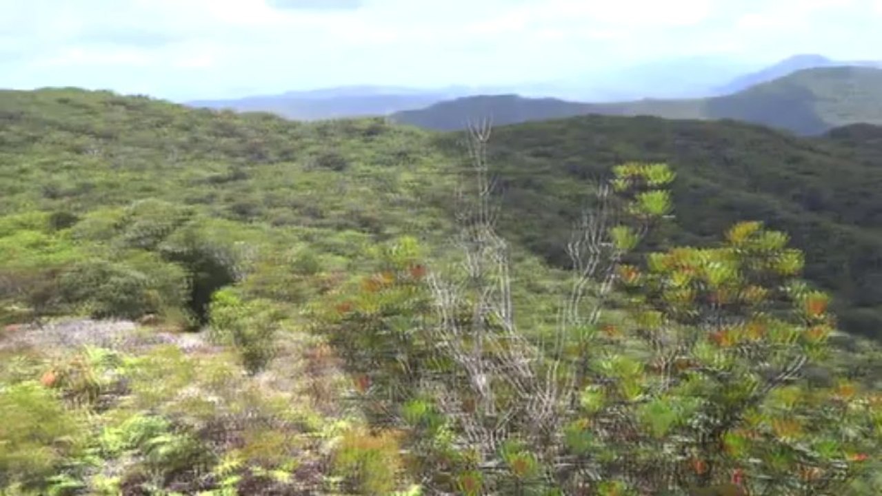 Nouvelle Caledonie: Sur les sommets de la Grande Terre