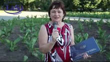 Super Lackey (Супер Лакей) от L&S. Отзывы о легендарном продукте