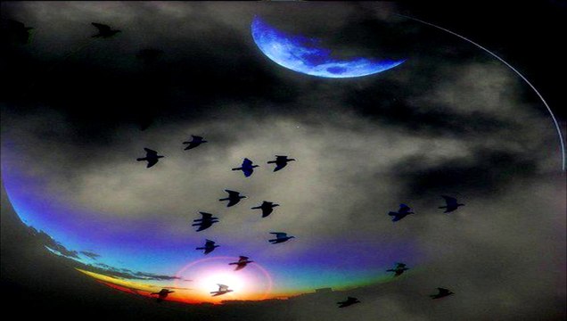 Explode coração - Samba Enredo do Salgueiro (CARNAVAL)