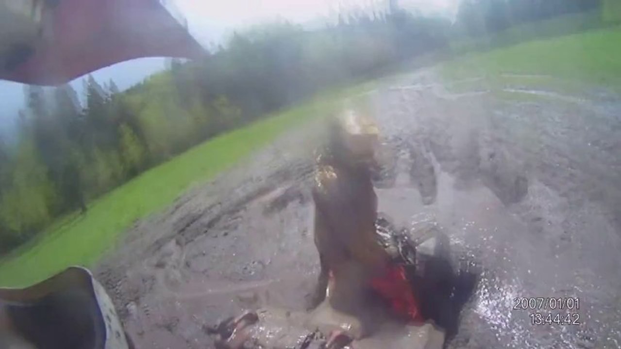 Quad Bike Offroading + 1 Quad Crashes Into The Back Of Another