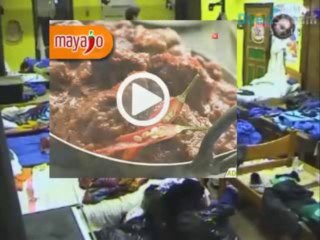 JG , Jeca & Edin -116.dan