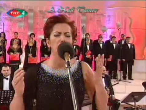 Aysun GÜLTEKİN-Yeşil Kurbağalar Öter Göllerde (U.H)-1