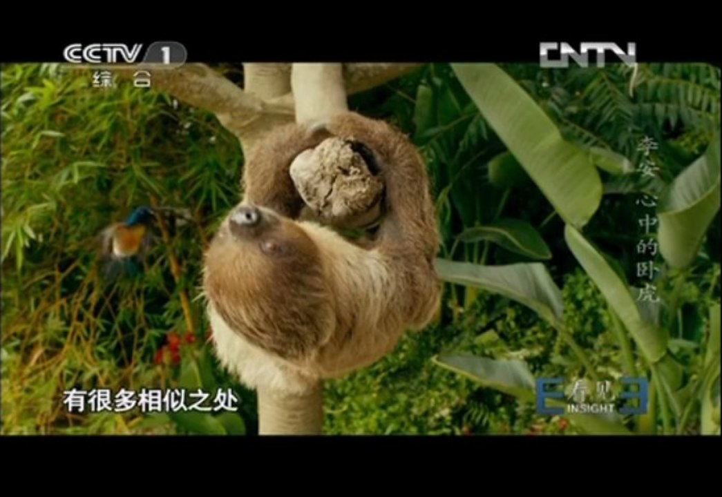 Ang Lee CCTV 《看见》李安 心中的卧虎