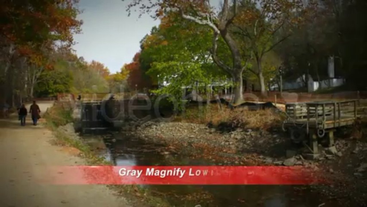 Gray Magnify Lower Third - After Effects Template