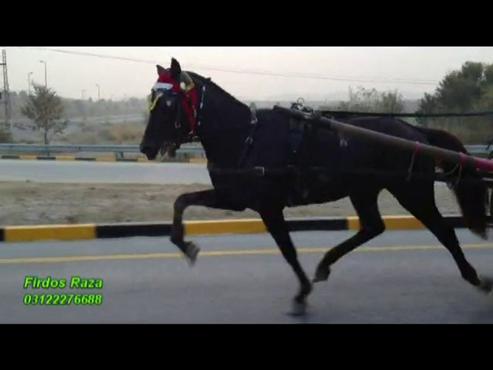 sarkar vs shahbaz race 22-12-13 part 3 of 4