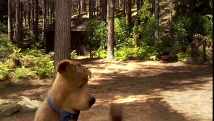 Yogi Bear 2010 - Trailer #1