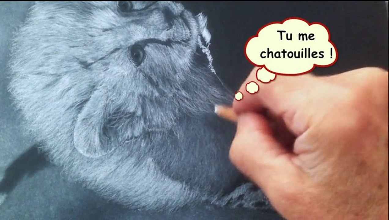 petit guépard