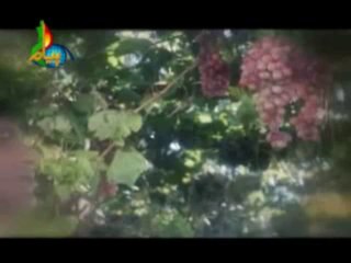 HAZRAT YOUSUF A.S  ( Urdu ) Episode  21