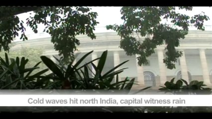 Cold waves hit north India, capital witness rain