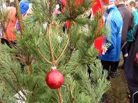 Немцы отказываются толстеть, бегая за гусём