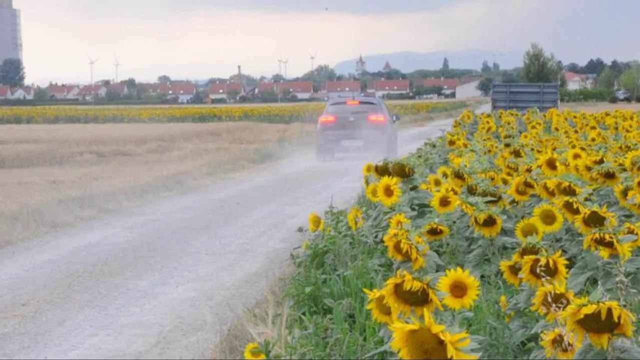 Kia Rio 2012 im Test