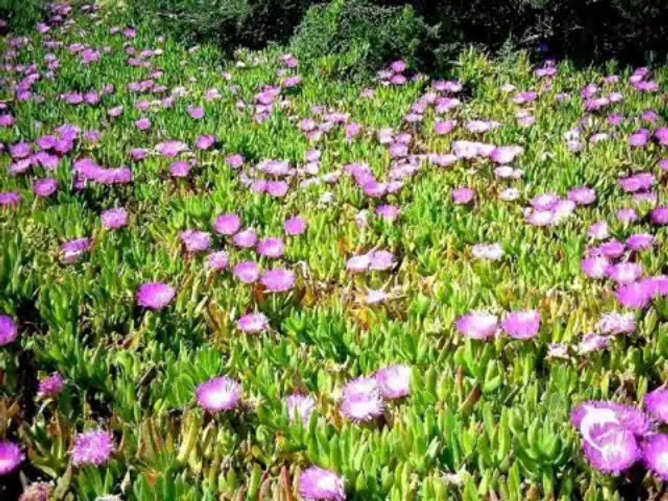 FORMENTERA - SEEN THROUGH THE LENSE OF MARKUS L.