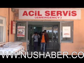 Nusaybin’de Kendisini Isıran Yılanı Öldürüp Beraberinde Hastaneye Götürdü