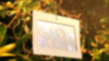 Sunny Memories Photo Gallery - After Effects Template