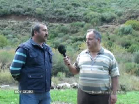 146 Karaburun Nergis Çiçeği