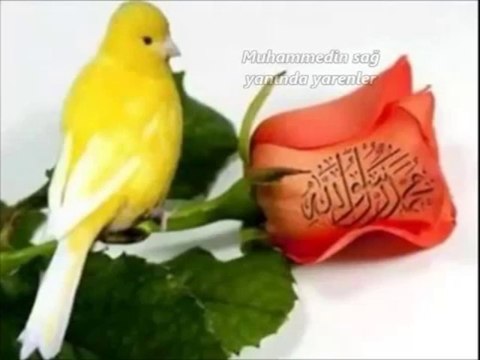 AHMET DURAN MUHAMMEDİN O GÖZLERİ SÜRMELİ