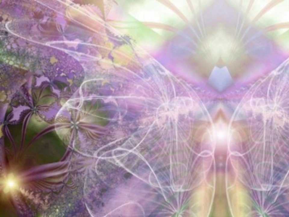 What Prevents One From Leaving Their Body  talk by Sri Allen Feldman