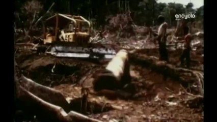 Mine d'or et de cuivre du Grasberg Super structures