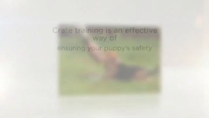 Basic Tips on Crate Buying and Crate Training Your Puppy