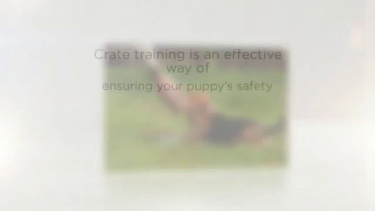 Basic Tips on Crate Buying and Crate Training Your Puppy