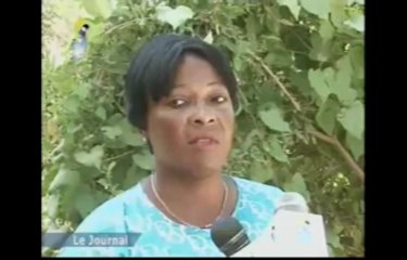 DERNIER JTV TCHAD FRANçAIS DU SAMEDI 27 DECEMBRE 2013 SUR TOL