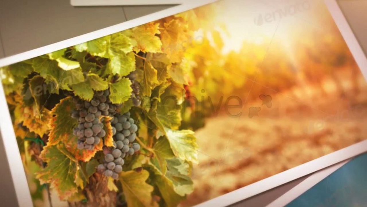 Memories - After Effects Template