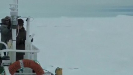 Ice foils rescue of Russian ship stranded in Antarctica
